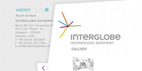 InterGlobe集团网站