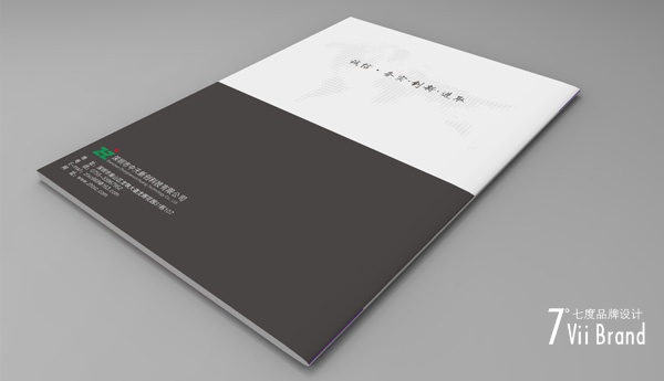 中天新创画册_4